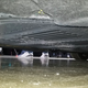Image for article titled A Look At The Engineering Behind The 2021 Ford Mustang Mach-E